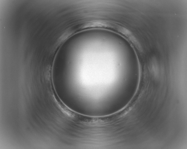 X0000069401233200605151010
