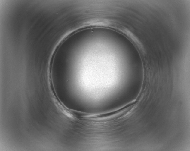X0000069401240200605151010