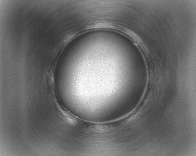 X0000069401241200605151010