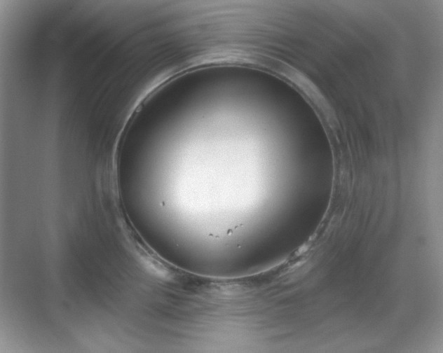 X0000069401242200605151010