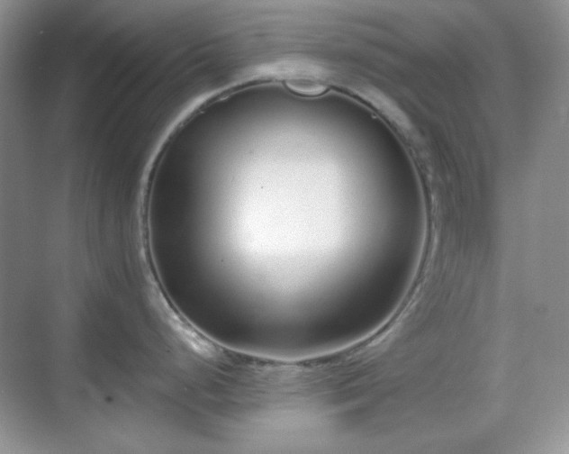 X0000069401248200605151010
