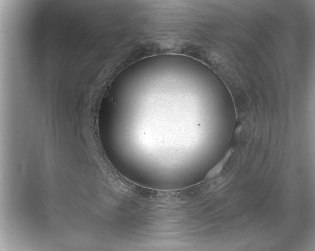 X0000069401249200605151010