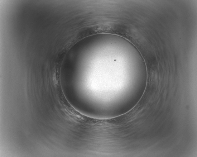 X0000069401250200605151010