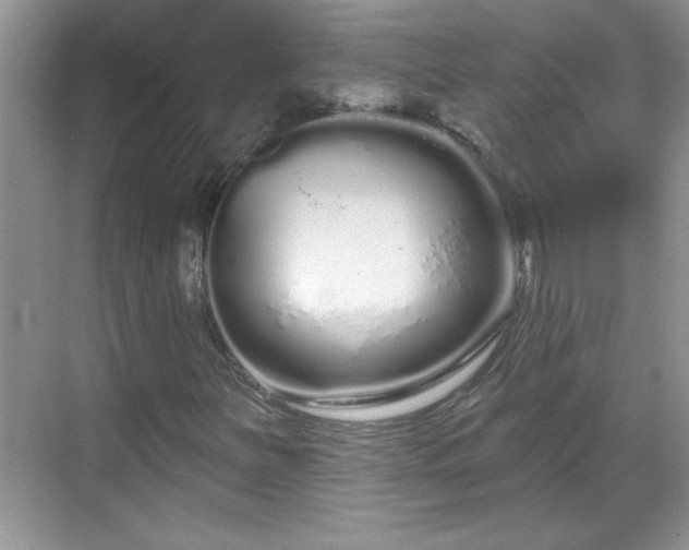 X0000069401251200605151010