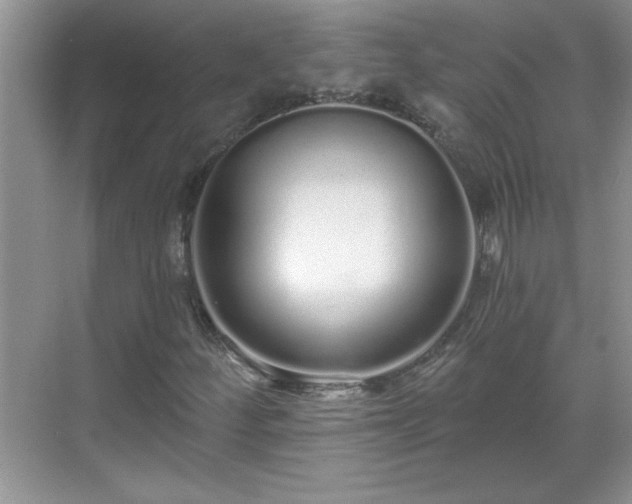 X0000069401252200605151010