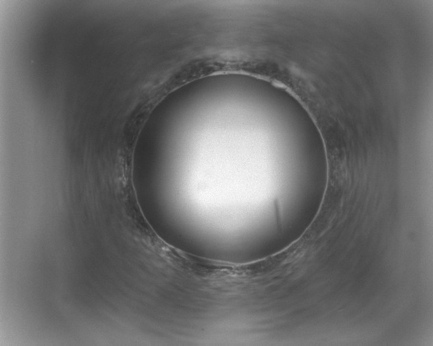 X0000069401253200605151009