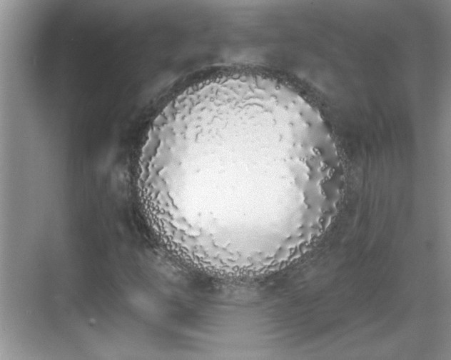X0000069401254200605151009