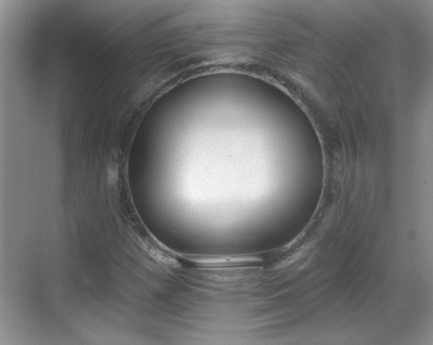 X0000069401257200605151009