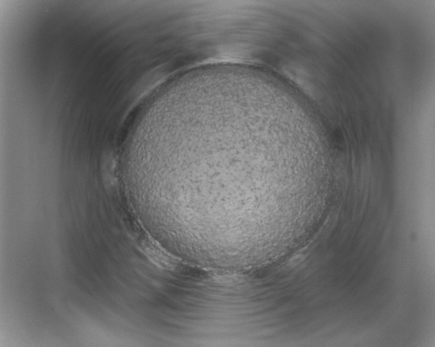 X0000069401258200605151009