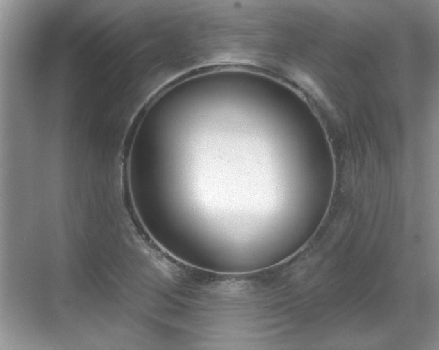 X0000069401268200605151009