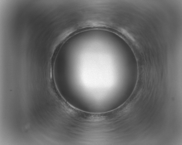 X0000069401269200605151009
