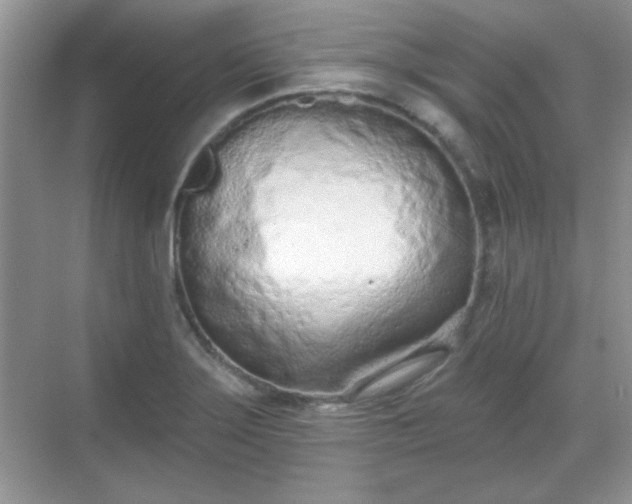 X0000069401275200605151009