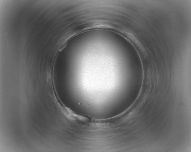 X0000069401281200605151009