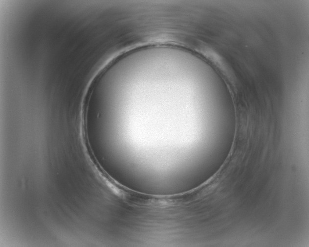X0000069401286200605151009