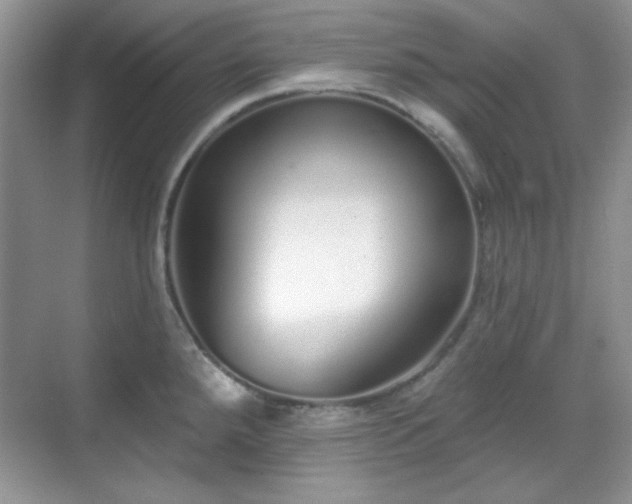 X0000069401288200605151009