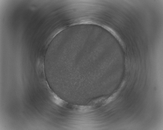 X0000069401289200605151009