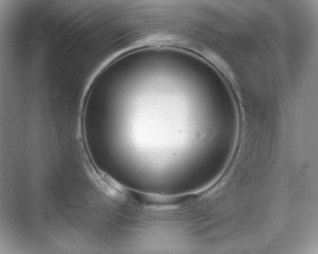 X0000069401296200605151009