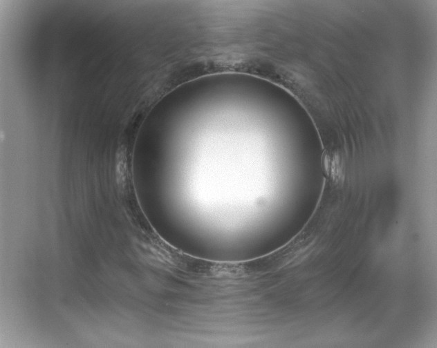 X0000069401299200605151008