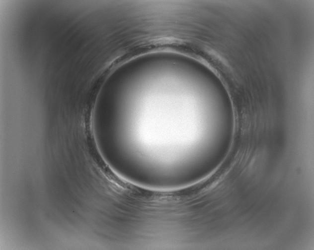 X0000069401305200605151008
