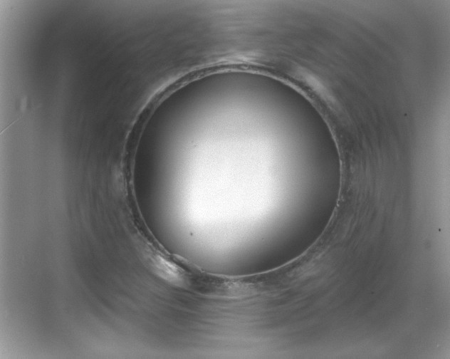 X0000069401308200605151008