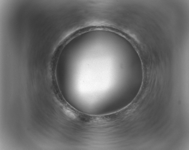 X0000069401311200605151008
