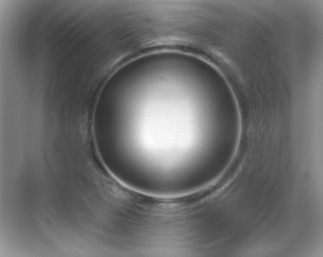 X0000069401313200605151008