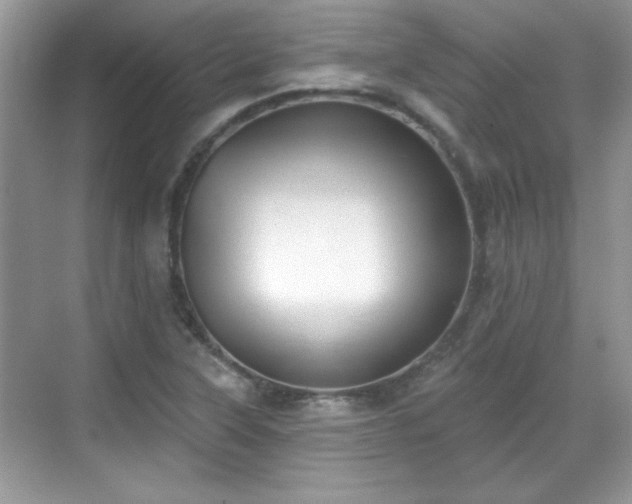 X0000069401315200605151008