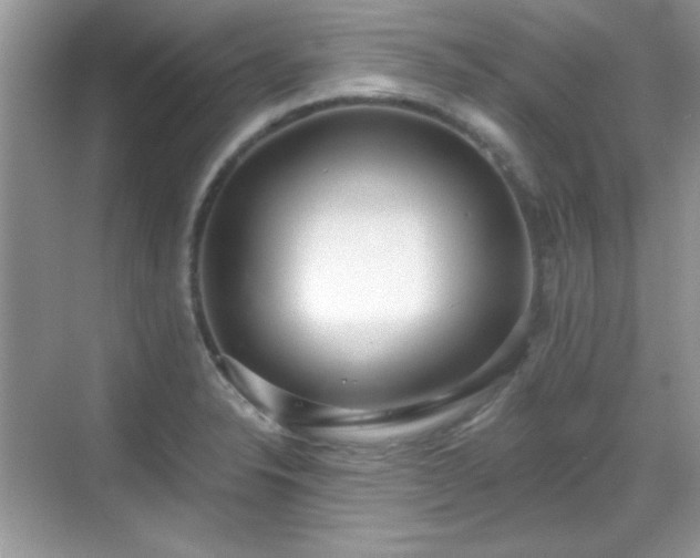 X0000069401326200605151008