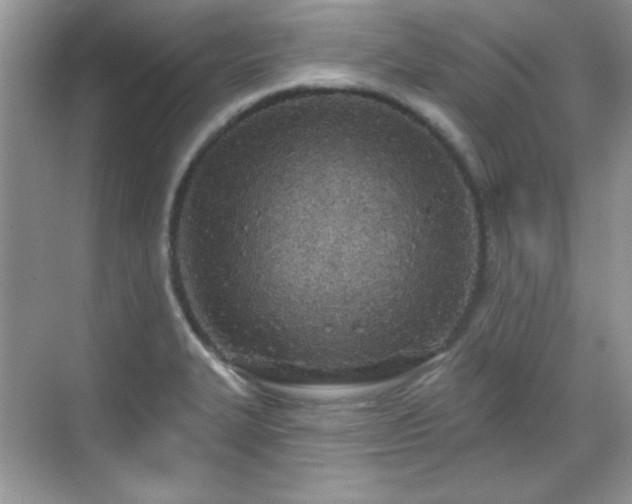 X0000069401327200605151008