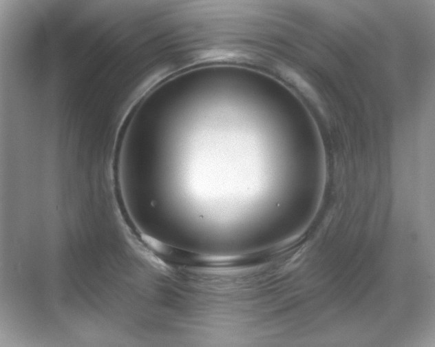 X0000069401330200605151009