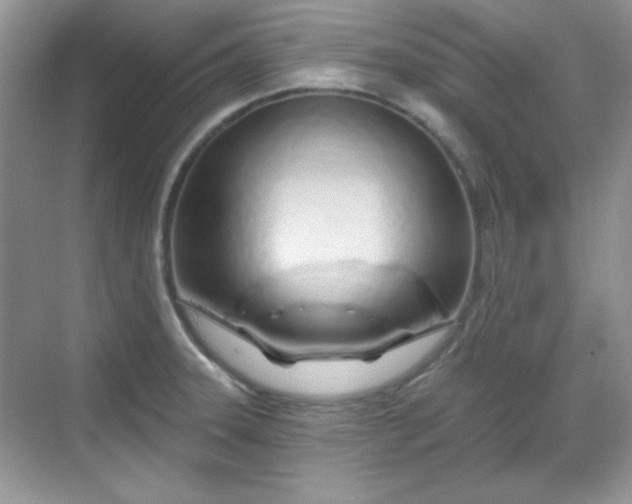 X0000069401331200605151009