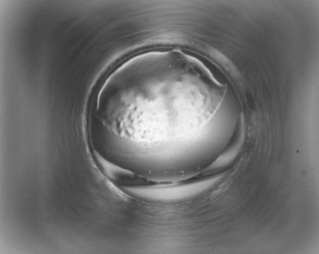 X0000069401334200605151009
