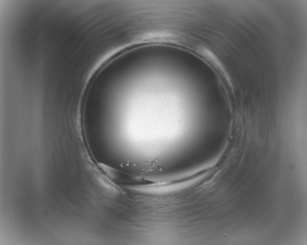 X0000069401336200605151009