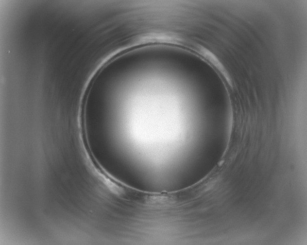 X0000069401339200605151009