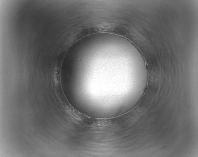 X0000069401346200605151008