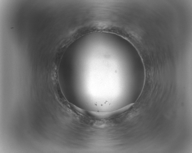 X0000069401349200605151008