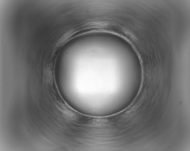 X0000069401354200605151008