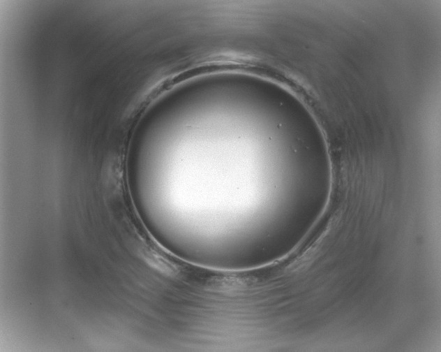 X0000069401355200605151008