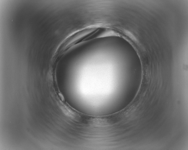 X0000069401356200605151008