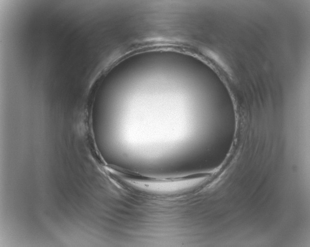 X0000069401357200605151008