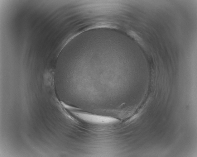 X0000069401369200605151008