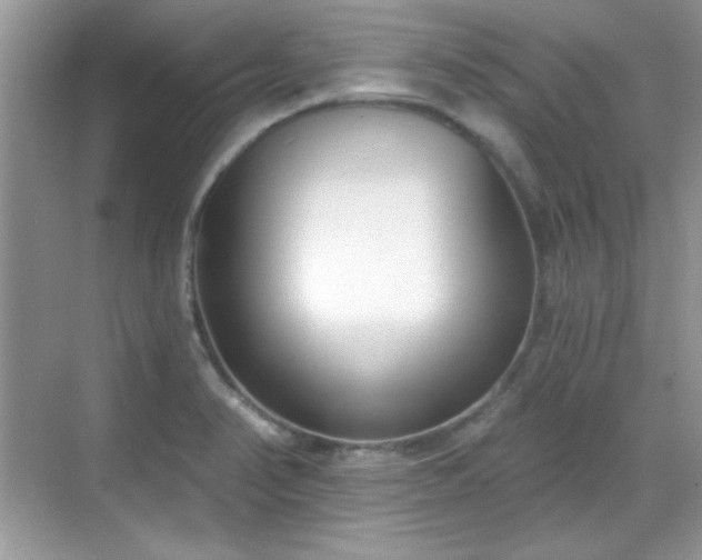 X0000069401374200605151007