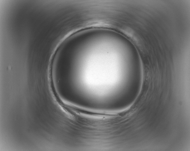 X0000069401375200605151007