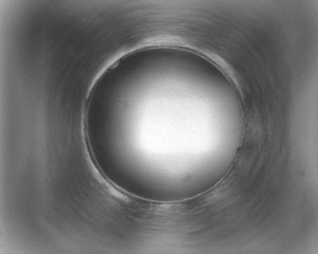 X0000069401390200605151007