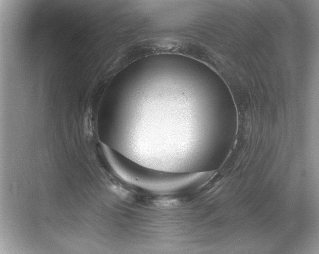 X0000069401394200605151006
