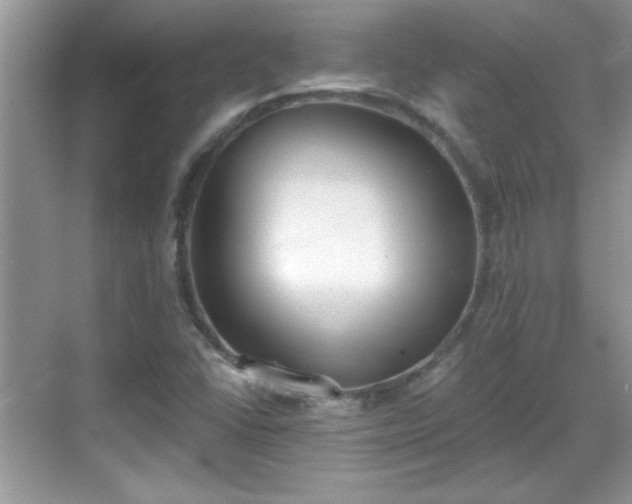 X0000069401406200605151007