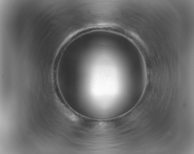 X0000069401412200605151007