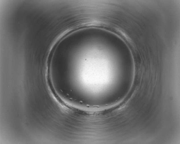 X0000069401418200605151007