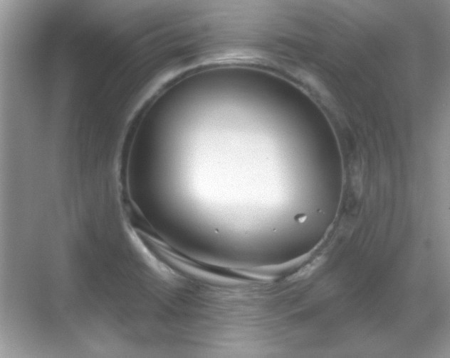 X0000069401422200605151007
