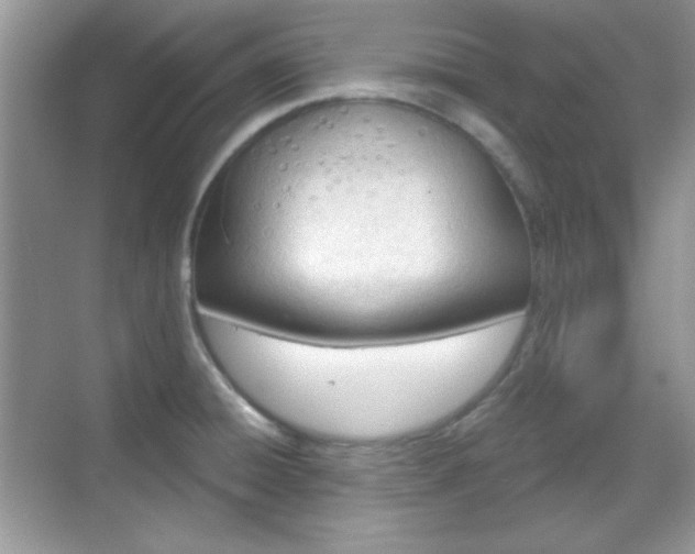 X0000069401428200605151007